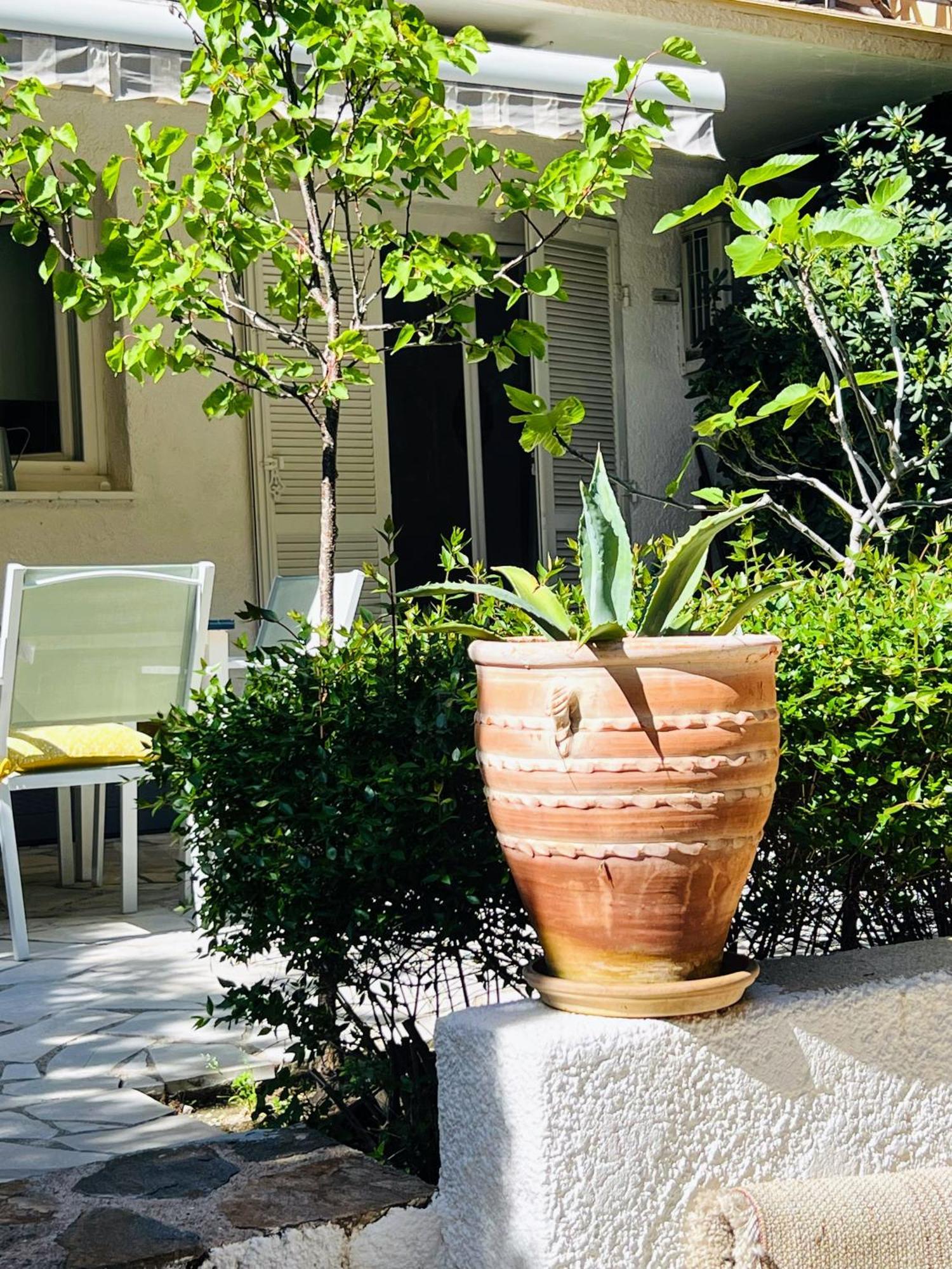 Superbe Appartement Avec Terrasse Jardin Et Parking Prive แซ็ง-ทรอเป ภายนอก รูปภาพ