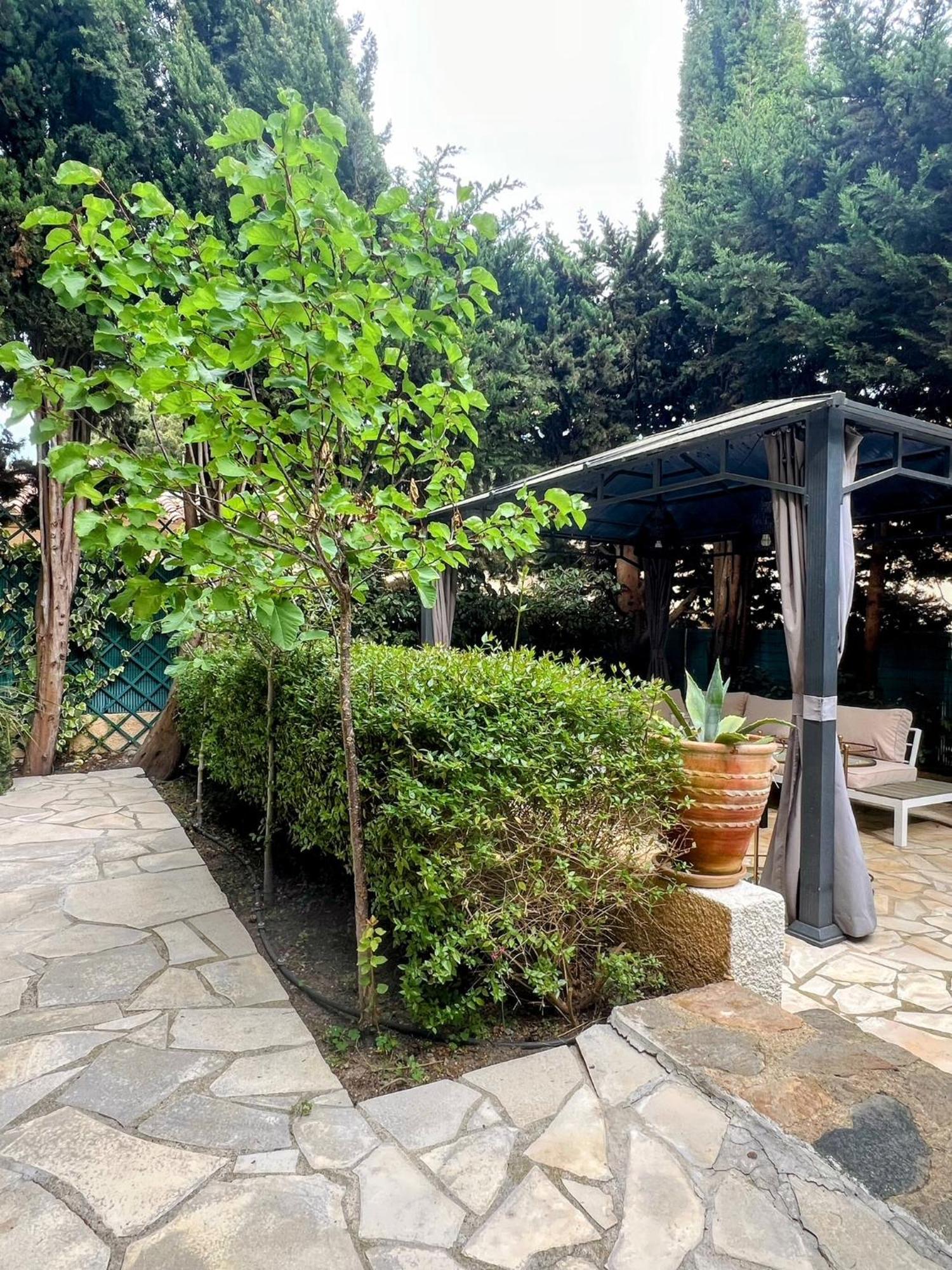 Superbe Appartement Avec Terrasse Jardin Et Parking Prive แซ็ง-ทรอเป ภายนอก รูปภาพ